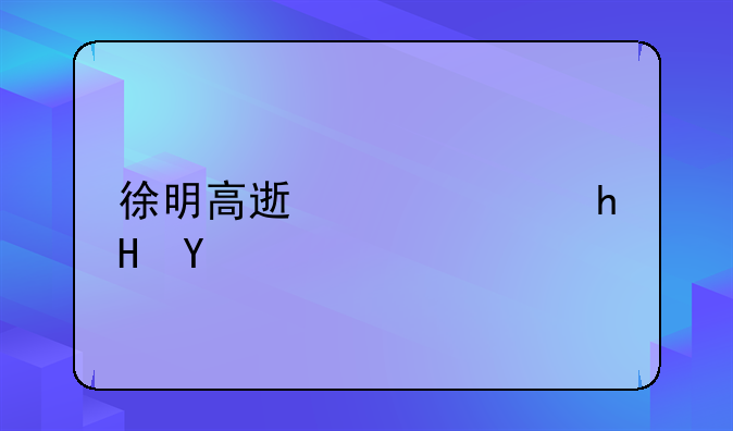 徐明高速公路意义