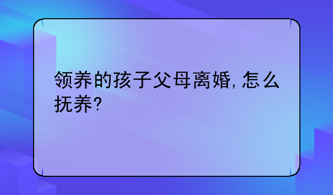 领养的孩子父母离婚,怎么抚养?