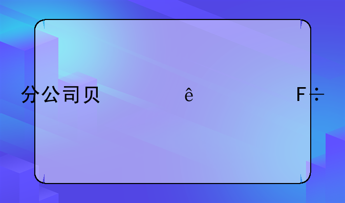 分公司负责人任命书