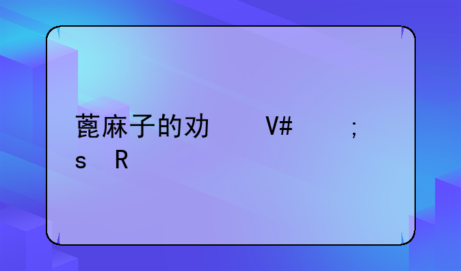 蓖麻子的功效与作用