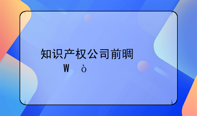 知识产权公司前景如何？
