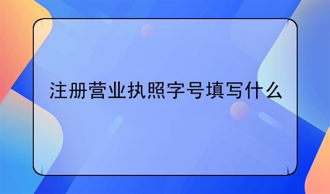 注册营业执照字号填写什么