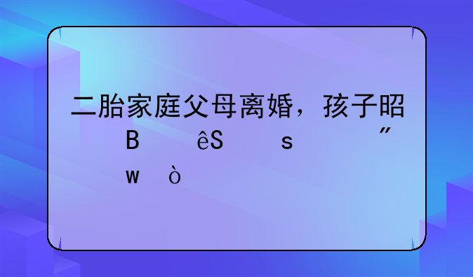 二胎家庭父母离婚，孩子是否应“平分”？