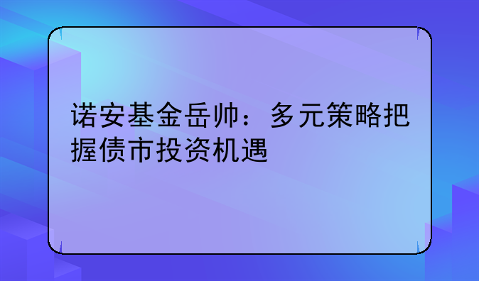 诺安基金岳帅：多元策略把握债市投资机遇