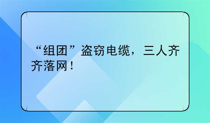 “组团”盗窃电缆，三人齐齐落网！