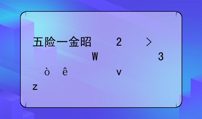 五险一金是指及如何自行缴纳全面解析