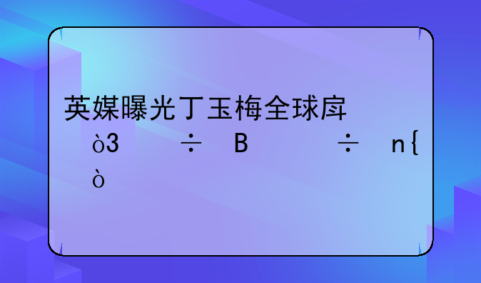英媒曝光丁玉梅全球房产，能否追回？
