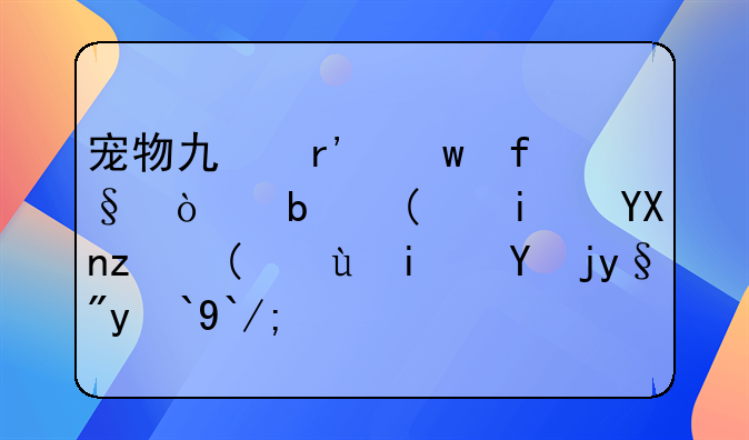 宠物也有保险！是“智商税”还是物有所值？