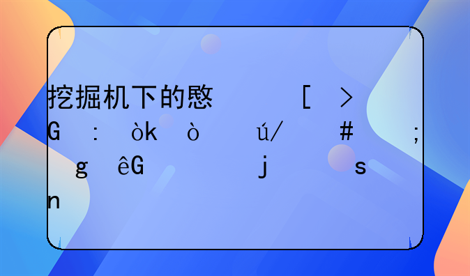 挖掘机下的意外发现：张律师与孙云骁的谜团