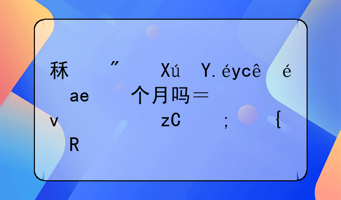 租房可以只租四个月吗？全面解析与实用建议