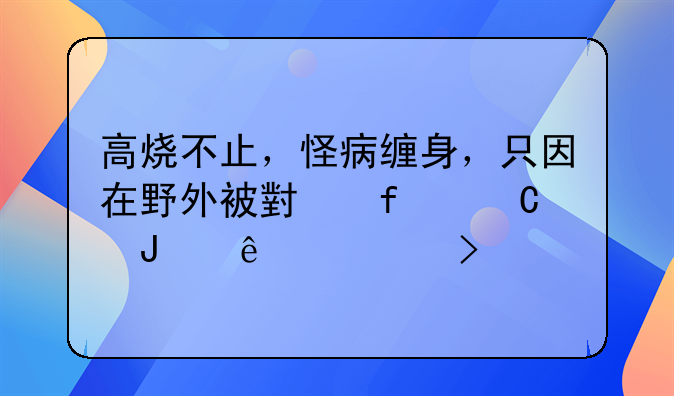 高烧不止，怪病缠身，只因在野外被小虫子咬了一口