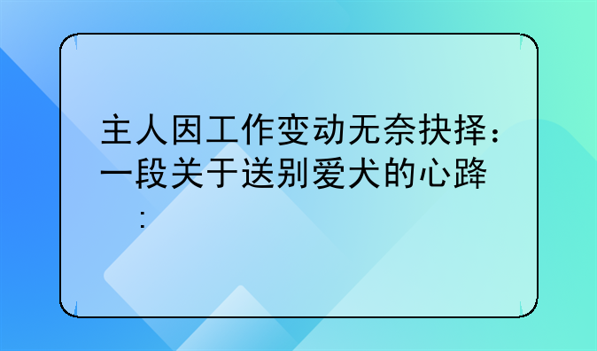 主人因工作变动无奈抉择：一段关于送别爱犬的心路历程