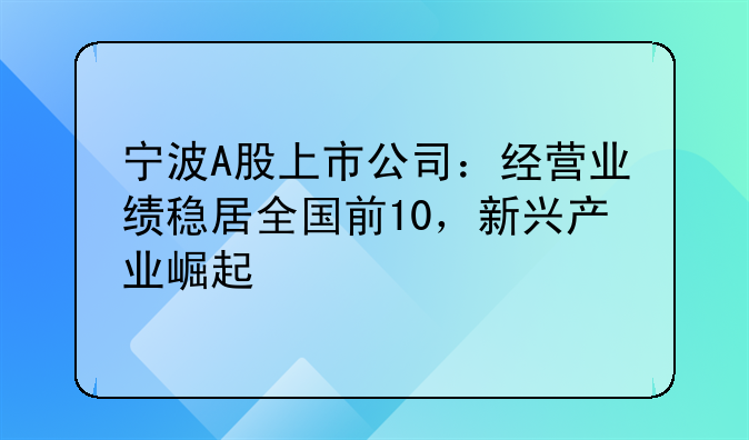 宁波A股上市公司：经营业绩稳居全国前10，新兴产业崛起