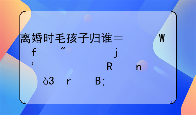 离婚时毛孩子归谁？法院判决的三大关键因素，最后一个太扎心