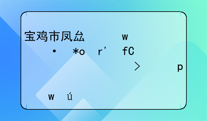 宝鸡市凤县宝凤热力有限责任公司“7·17”较大中毒和窒息事故调查报告