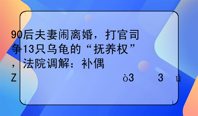 90后夫妻闹离婚，打官司争13只乌龟的“抚养权”，法院调解：补偿女方8万元，乌龟归男方